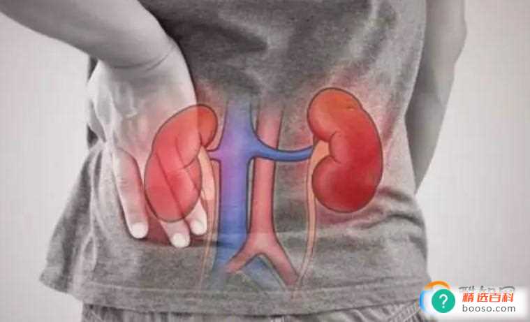 眼睛肿眼泡是如何造成的(眼睛肿泡形成的原因)