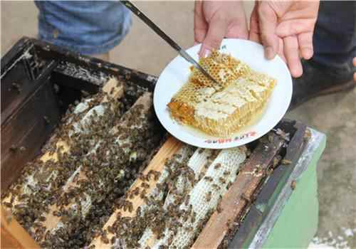 蜂胶有什么副作用蜂胶的食用方法(蜂胶的功效与作用蜂胶多少钱一斤)