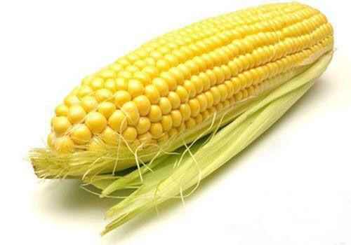 玉米是凉性还是热性,玉米是热性还是凉性,玉米是凉性的吗