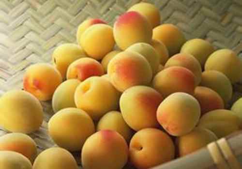 杏子的功效与作用食用方法(杏子的功效与作用一天吃几个杏)