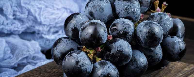 葡萄是热性还是凉性,葡萄是酸性还是碱性食物