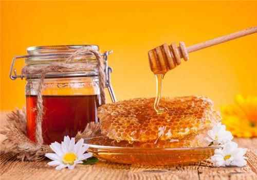 蜂蜜怎么吃最好 怎样吃蜂蜜养生