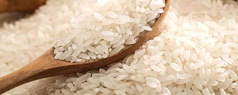 米打成米浆可以做什么(米要泡到什么程度才可以打浆)