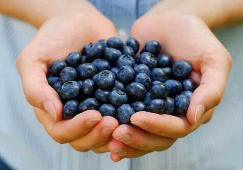 蓝莓的营养价值及功效和作用(蓝莓的营养成分主要有哪些)