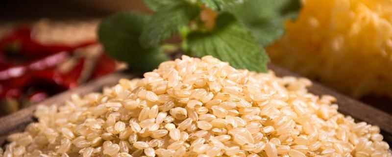 糙米热量,糙米为什么减肥(熟糙米和生糙米为什么热量差这么多)