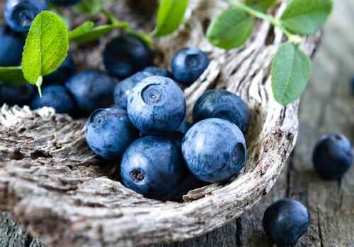 蓝莓是什么季节的水果,蓝莓几月份成熟