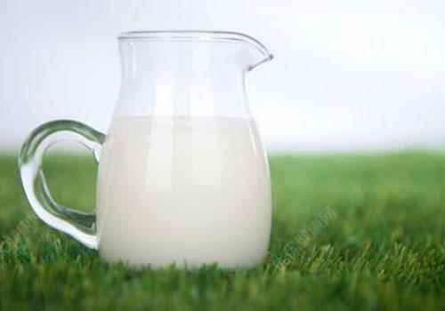 羊奶的营养价值(羊奶的营养成分)
