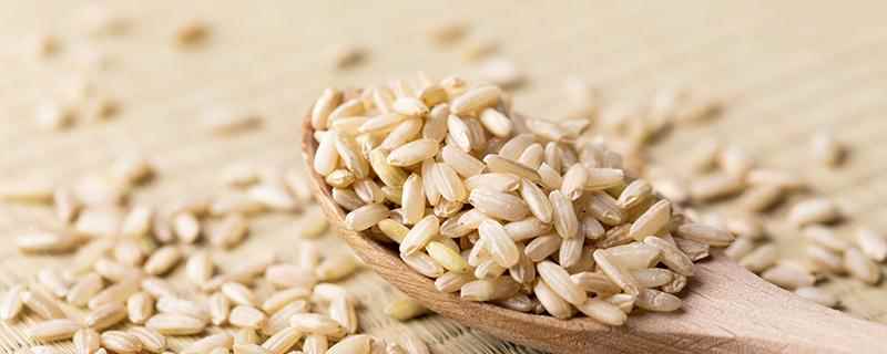 糙米可以减肥吗,糙米怎么吃减肥最快