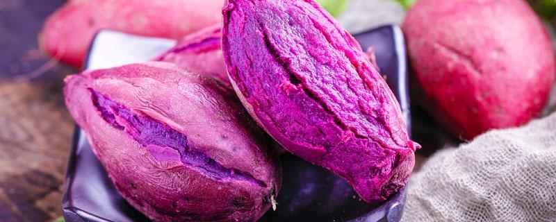 吃紫薯可以减肥吗,紫薯怎么吃减肥效果更好(紫薯怎么吃减肥效果更好)
