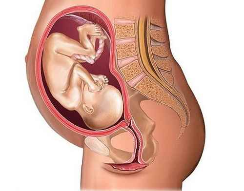 胎儿一般什么时候入盆什么感觉(入盆是一下就入盆还是慢慢入盆)