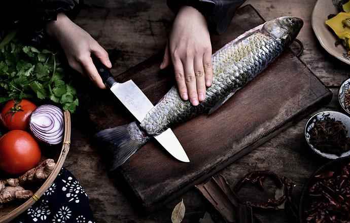 脆鱼是什么鱼做的,脆鱼肉为什么脆(中山发展脆肉鲩养殖历史最悠久)