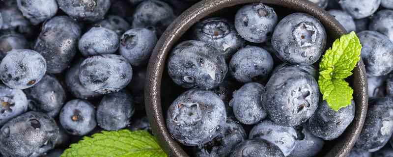 蓝莓叶黄素含量多少是正确的(蓝莓叶黄素与蓝莓叶黄素酯的区别)