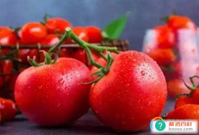 番茄是蔬菜还是水果(番茄的营养价值)