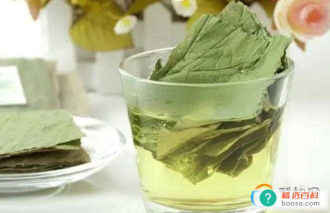 荷叶泡水的功效