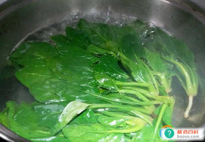 菠菜怎么制作好吃