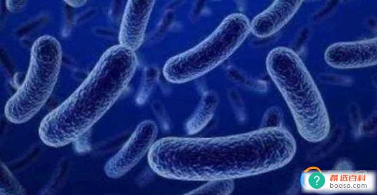 阳性住过的房子多久以后没有病毒