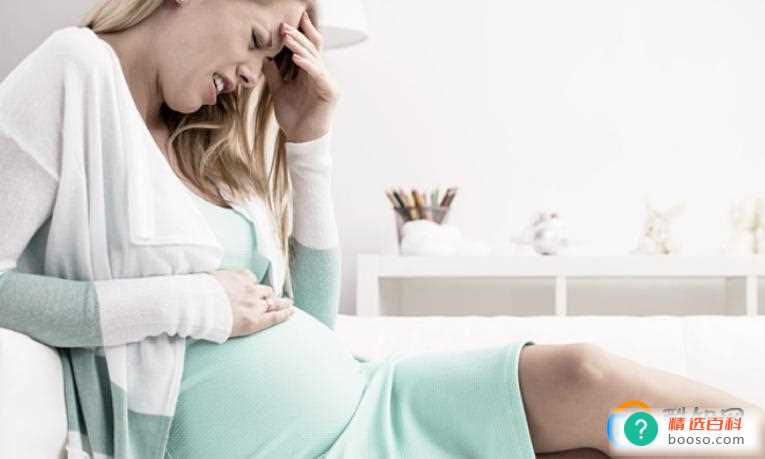 孕妇可以闻绣球花的味道吗(孕妇痒绣球花会导致胎儿畸形吗)