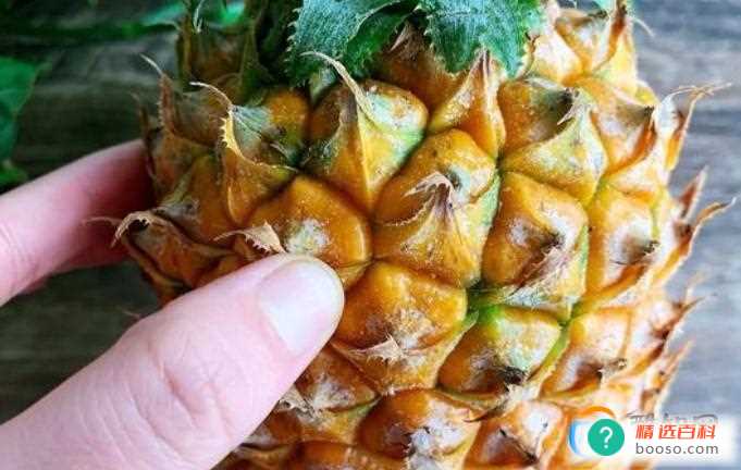 挑选菠萝的技巧