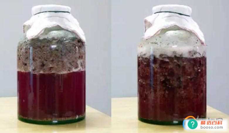 自制的葡萄酒喝了头晕是中毒吗