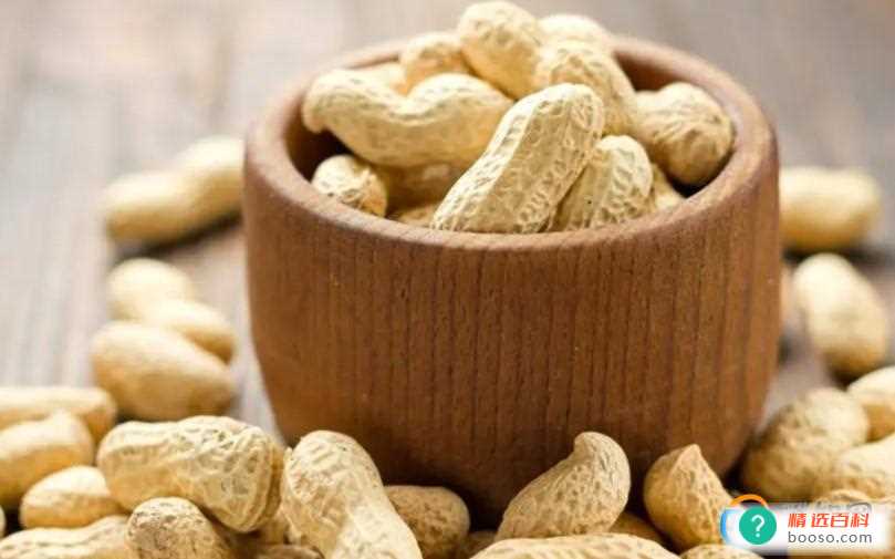 花生属于什么食物(花生可以榨油吗)