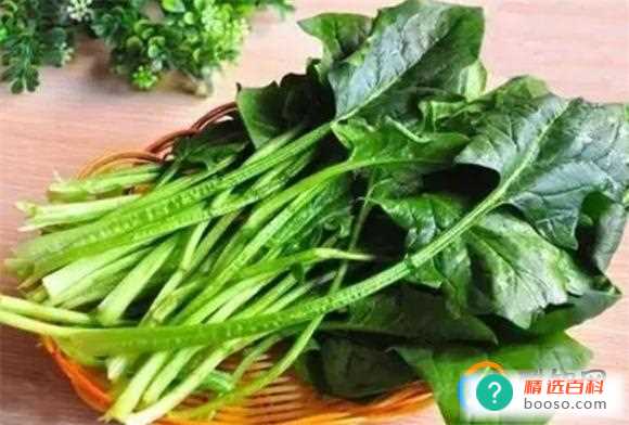 立春以后天气会很暖和吗(立春以后天气不一定变得特别的暖和)