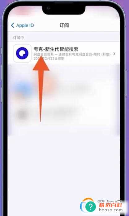 夸克会员怎么取消自动续费(苹果手机通过支付宝取消夸克自动续费的操作步骤)