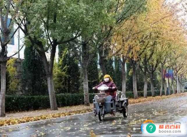 2023惊蛰刮风下雪好吗(2023年惊蛰出现刮风下雨)