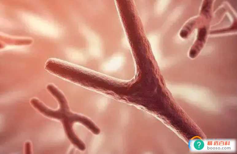 宝鸡发现一例稀有“黄金血”血型是什么型