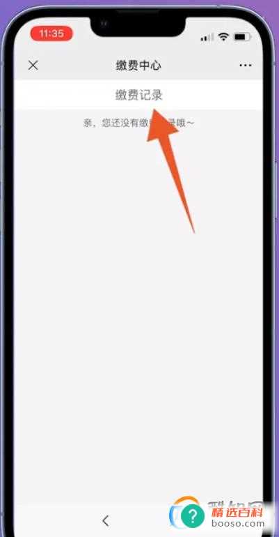 社保记录如何查询(微信城市服务、支付宝市民中心查询社保缴费记录的方法)