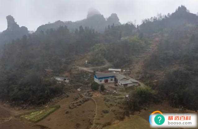 男子因抢劫156元后潜逃到山洞躲避14年成野人(湖北男子当年抢劫156元后潜逃到山洞躲避14年)