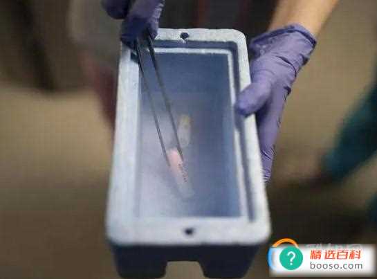 越来越多的乌军士兵提前冷冻自己的精子  怕自己再也回不了家