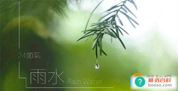 《雨水》：探寻自然之美和文学意境的交汇点