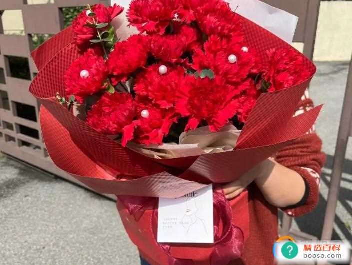 向日葵的寓意是什么(向日葵寓意着心中有坚定信念)