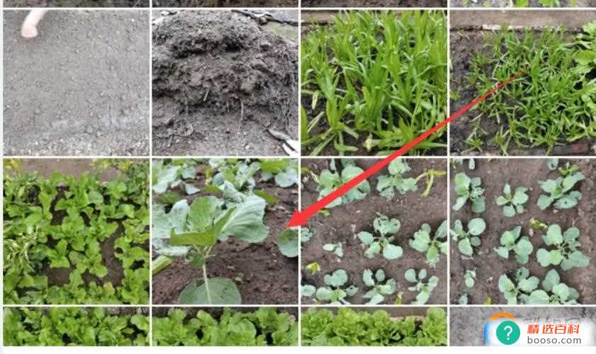 手机怎么把照片变成素描画(手机怎么把照片变成素描画步骤)