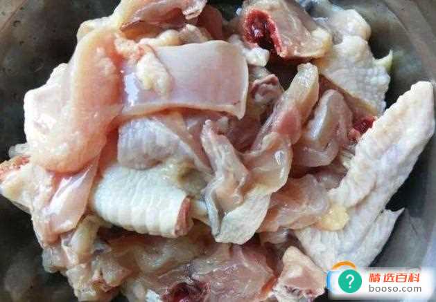 鸡柳是鸡的哪个部位(炸鸡柳是由鸡大腿的肉制作而成的)