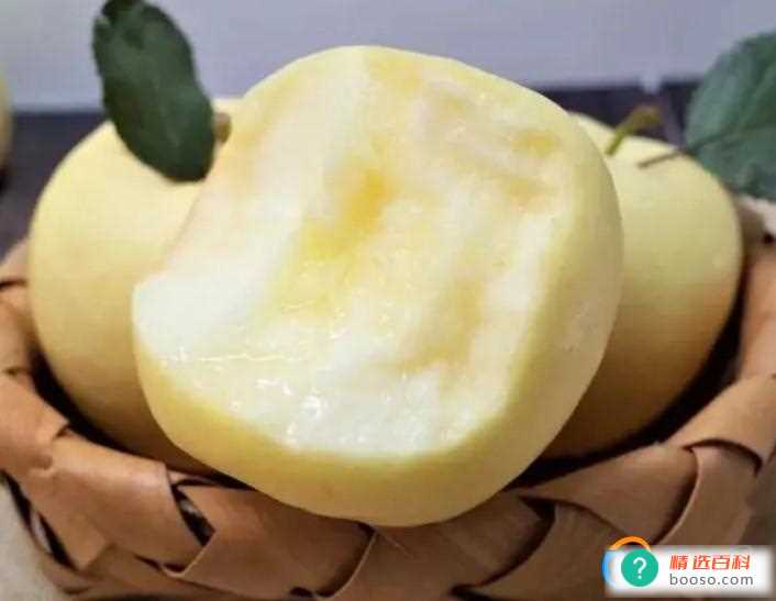 奶油富士苹果与黄金维纳斯区别(黄金维纳斯和奶油苹果的区别)