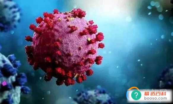 又吐又拉是甲流还是诺如病毒感染(又吐又拉可能是诺如病毒)