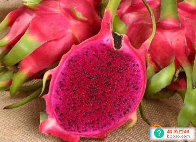 火龙果怎么挑选好(红心火龙果掉色正常吗)