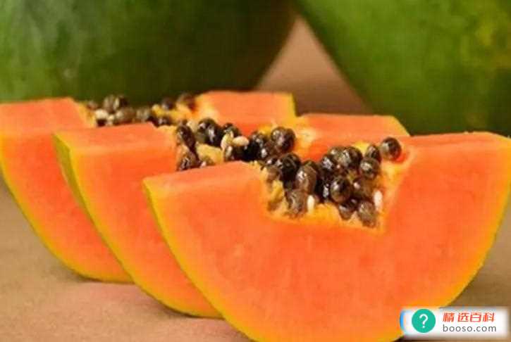 木瓜和哈密瓜有什么区别(木瓜跟哈密瓜可以一起吃吗)