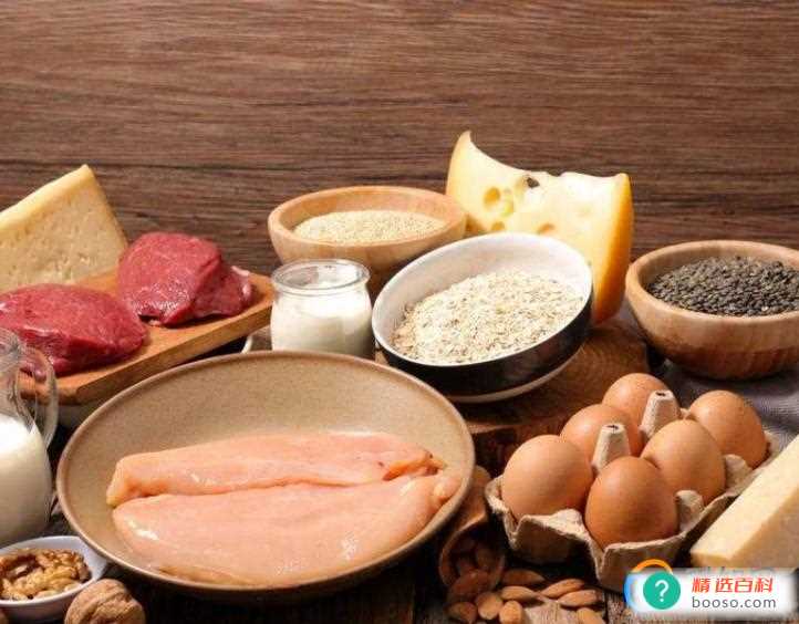 高蛋白食物有哪些(高蛋白类食物的好处有哪些)