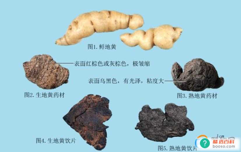 常用的滋补药材有哪些(滋阴补阳补气的药材有哪些)