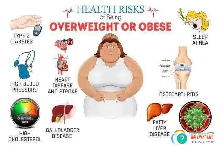 2020至2030年肥胖症降低多少(6亿中国人超重肥胖)