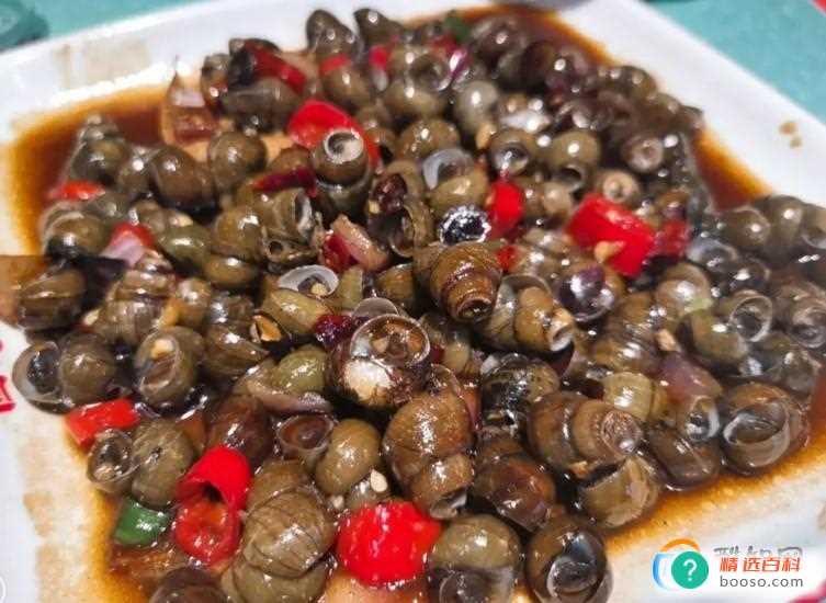 田螺的细菌寄生虫多吗(田螺特别的脏吗)