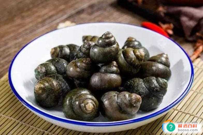 田螺的细菌寄生虫多吗(田螺特别的脏吗)