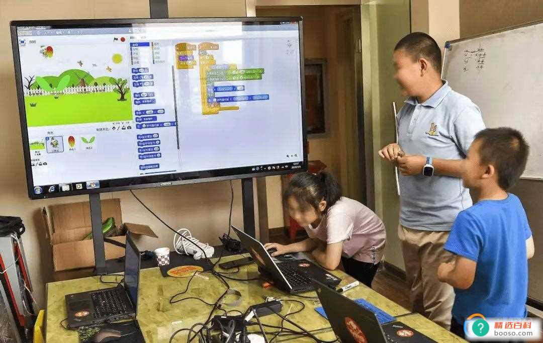 中高考将逐步将编程列入考试科目？委员有何建议？