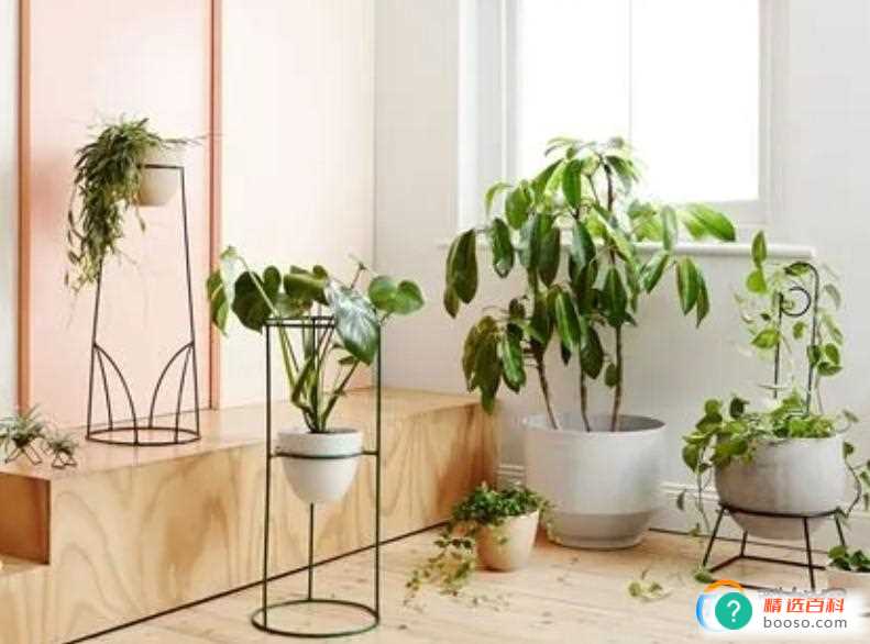 熬夜后身体难受吗(熬夜之后应该合理的饮食)