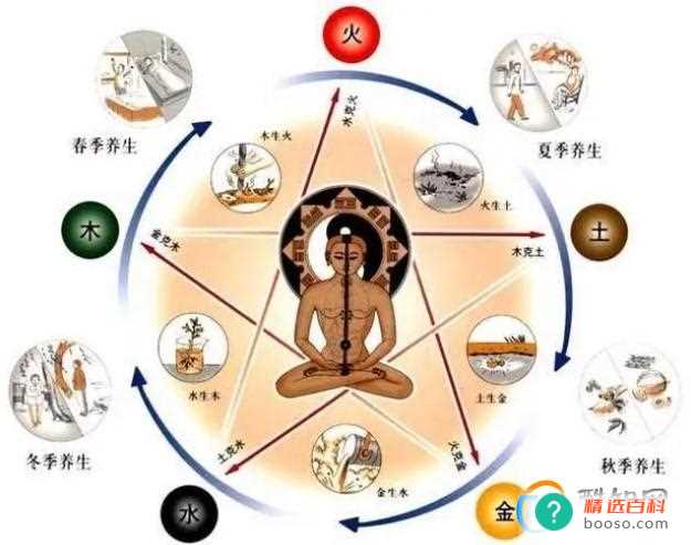 精准二肖二码（精准二肖二码免费正版）(精准二肖二码免费正版下载)