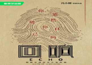 《回响》是根据什么小说改编的(《回响》人物关系是怎样的)