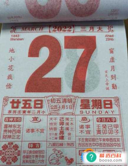 2023年是第几个植树节(2021植树节搬家到底好不好)