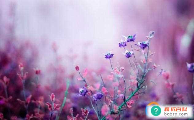 一段漂亮的话是人生的真谛(什么样的人才算漂亮)